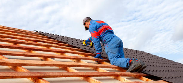 Best Skylight Installation and Repair  in Seagraves, TX