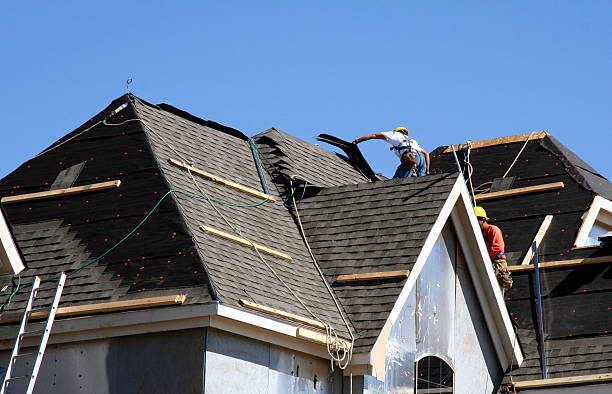 Best Roof Moss and Algae Removal  in Seagraves, TX