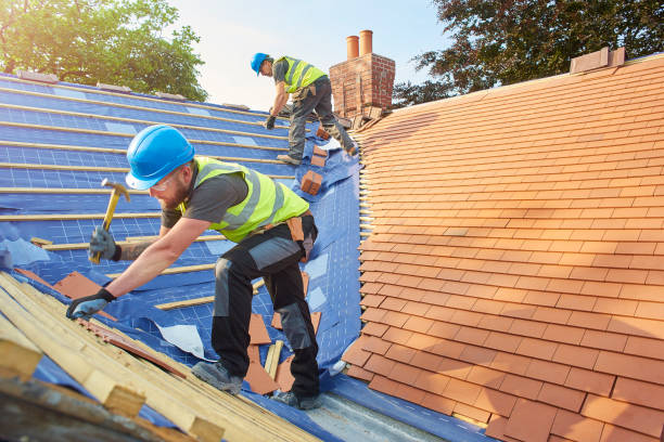 Best Asphalt Shingle Roofing  in Seagraves, TX